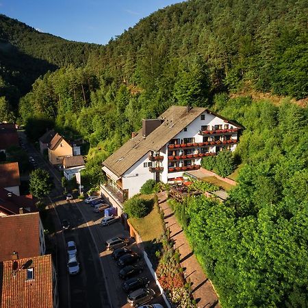 Hotel Die Kleine Blume Erfweiler Esterno foto