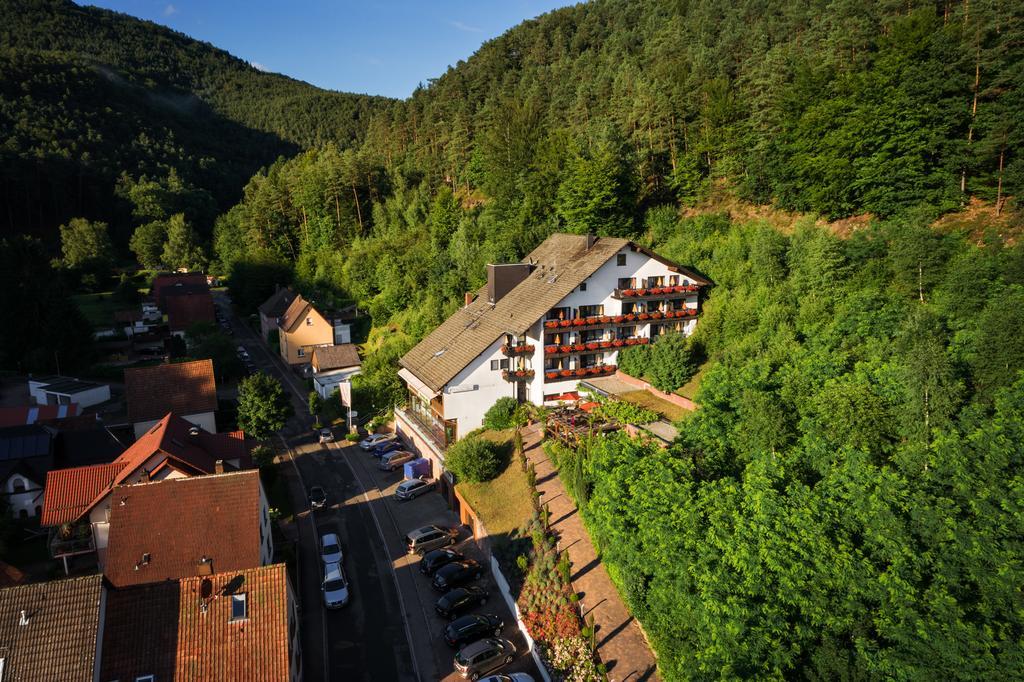 Hotel Die Kleine Blume Erfweiler Esterno foto