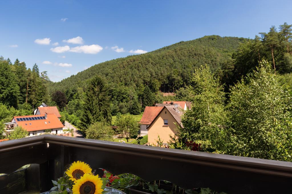 Hotel Die Kleine Blume Erfweiler Esterno foto